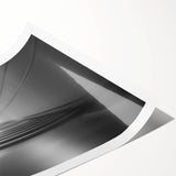 Extra large wall art featuring black and white line art flowers on a rolled canvas, suitable for large living room decor.