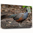 Acrylic glass sheet showcasing a side view with precision pins for mounting, featuring a sleek and modern design ideal for home decor or office use. Perfect for displaying artwork or photographs with clarity and elegance.