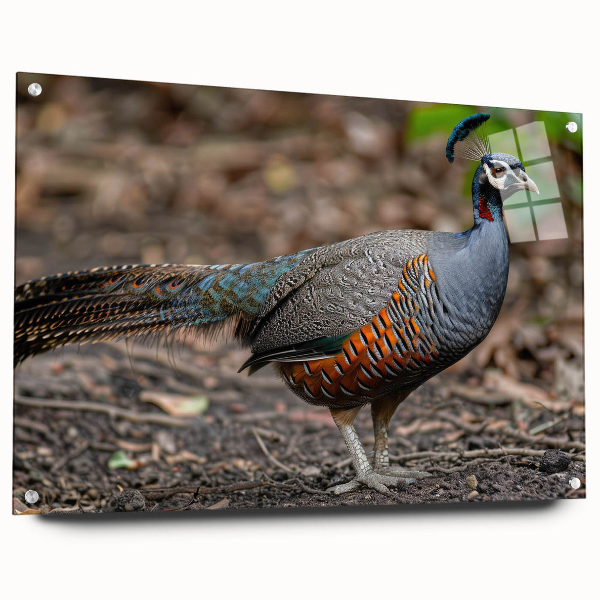 Acrylic glass sheet showcasing a side view with precision pins for mounting, featuring a sleek and modern design ideal for home decor or office use. Perfect for displaying artwork or photographs with clarity and elegance.