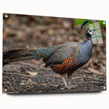 Acrylic glass sheet showcasing a side view with precision pins for mounting, featuring a sleek and modern design ideal for home decor or office use. Perfect for displaying artwork or photographs with clarity and elegance.