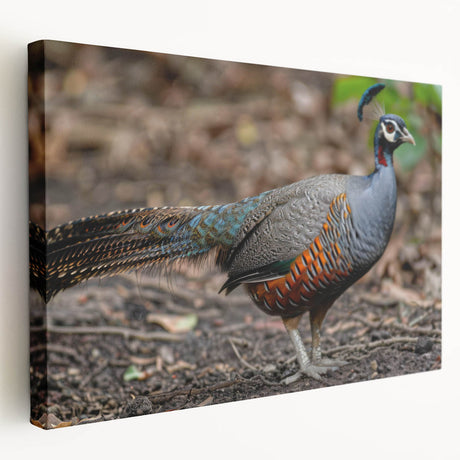Stretched canvas artwork showcasing a vibrant abstract design in bold colors, displayed from the side to highlight texture and depth, ideal for modern decor.