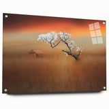 Blossoming Tree at Sunset - Fine Art Photography Canvas Prints