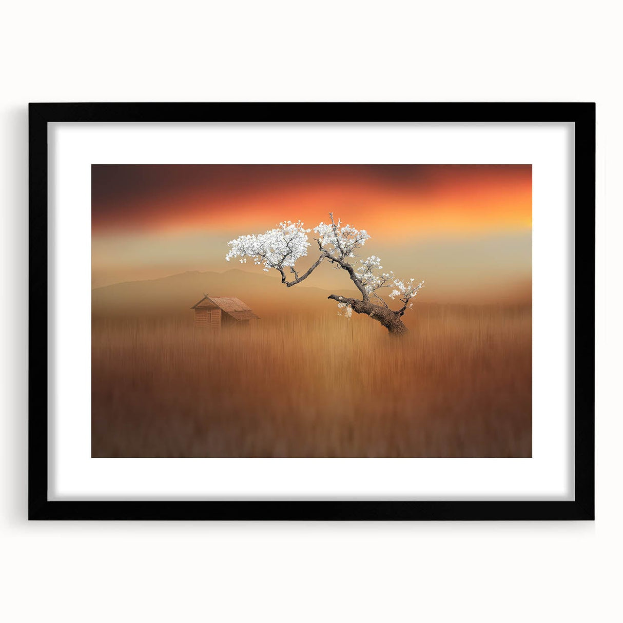 Blossoming Tree at Sunset - Fine Art Photography Canvas Prints