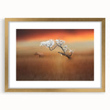 Blossoming Tree at Sunset - Fine Art Photography Canvas Prints