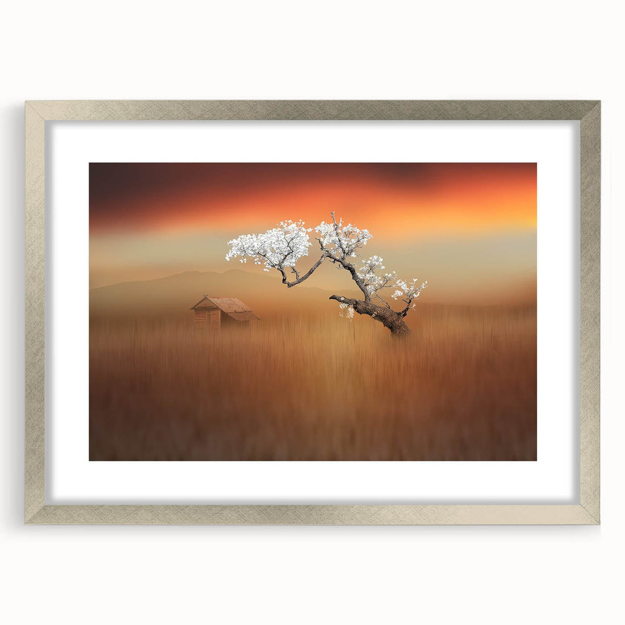 Blossoming Tree at Sunset - Fine Art Photography Canvas Prints