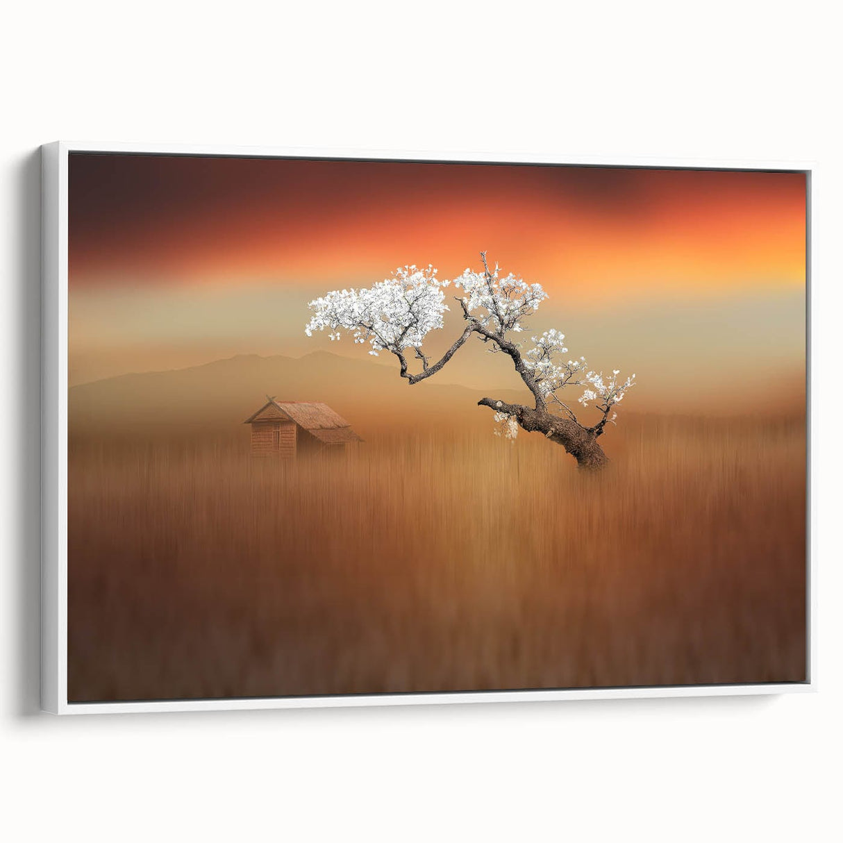 Blossoming Tree at Sunset - Fine Art Photography Canvas Prints