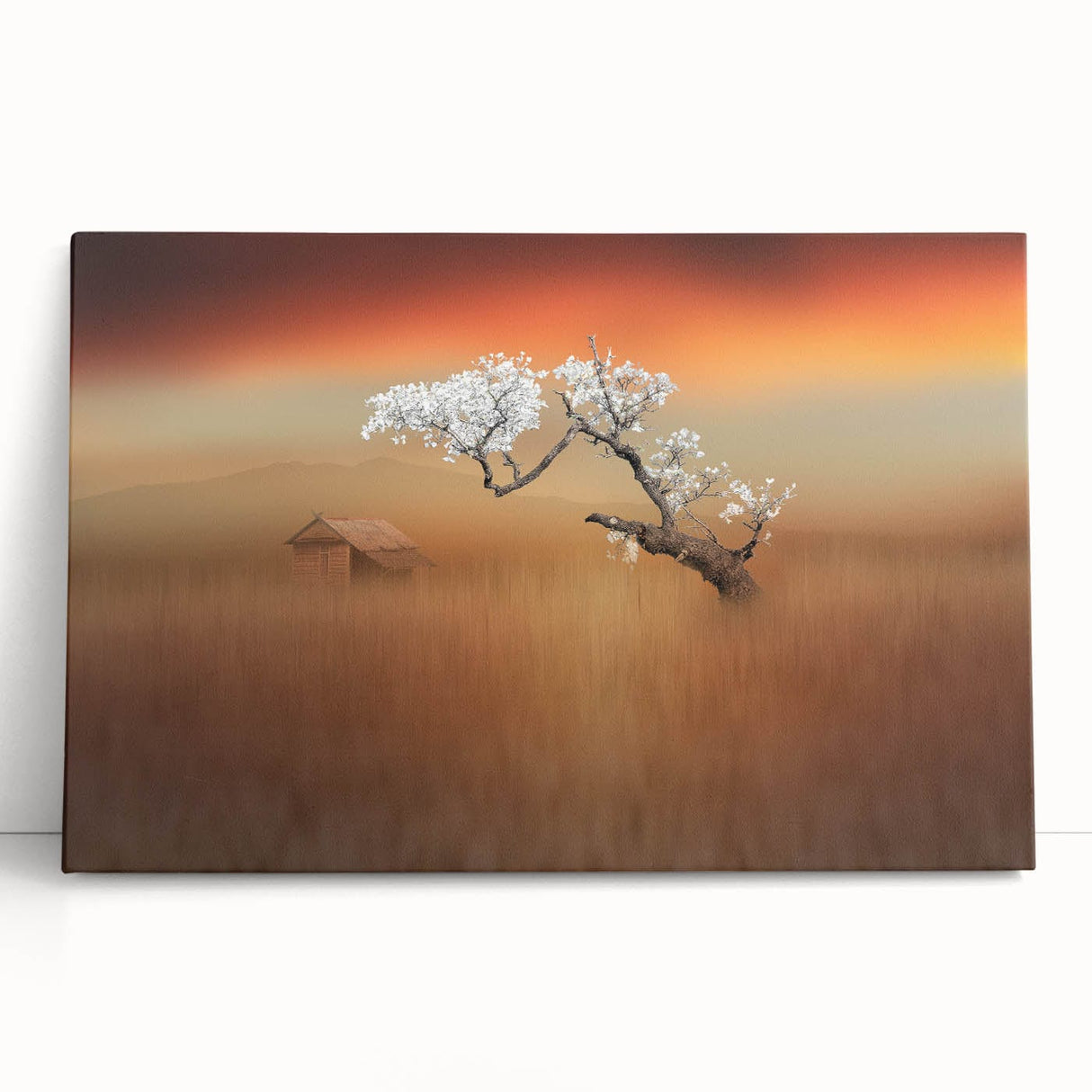 Blossoming Tree at Sunset - Fine Art Photography Canvas Prints