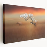 Blossoming Tree at Sunset - Fine Art Photography Canvas Prints
