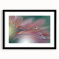 Dreamy Macro Floral - Soft Pastel Fine Art Photography