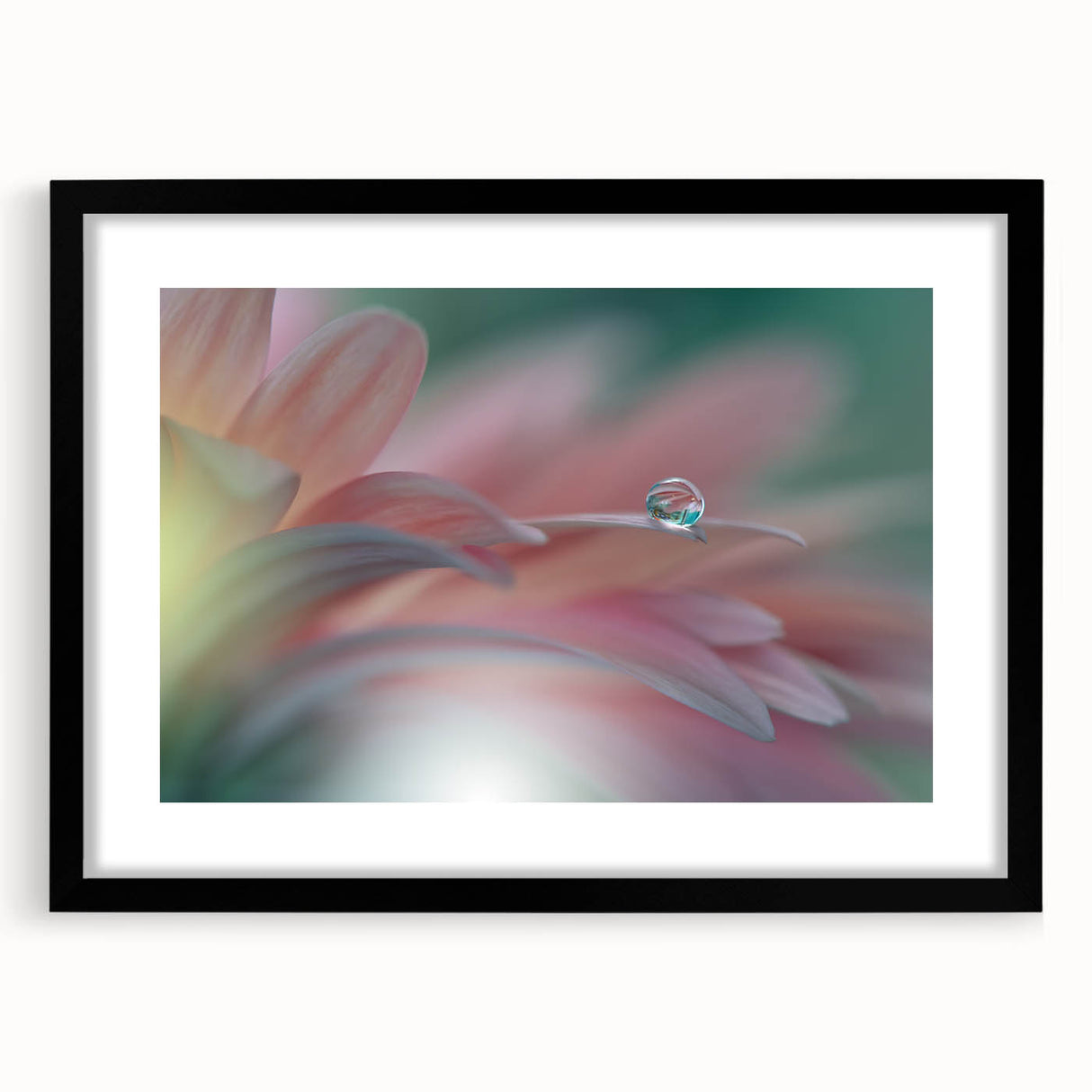 Dreamy Macro Floral - Soft Pastel Fine Art Photography