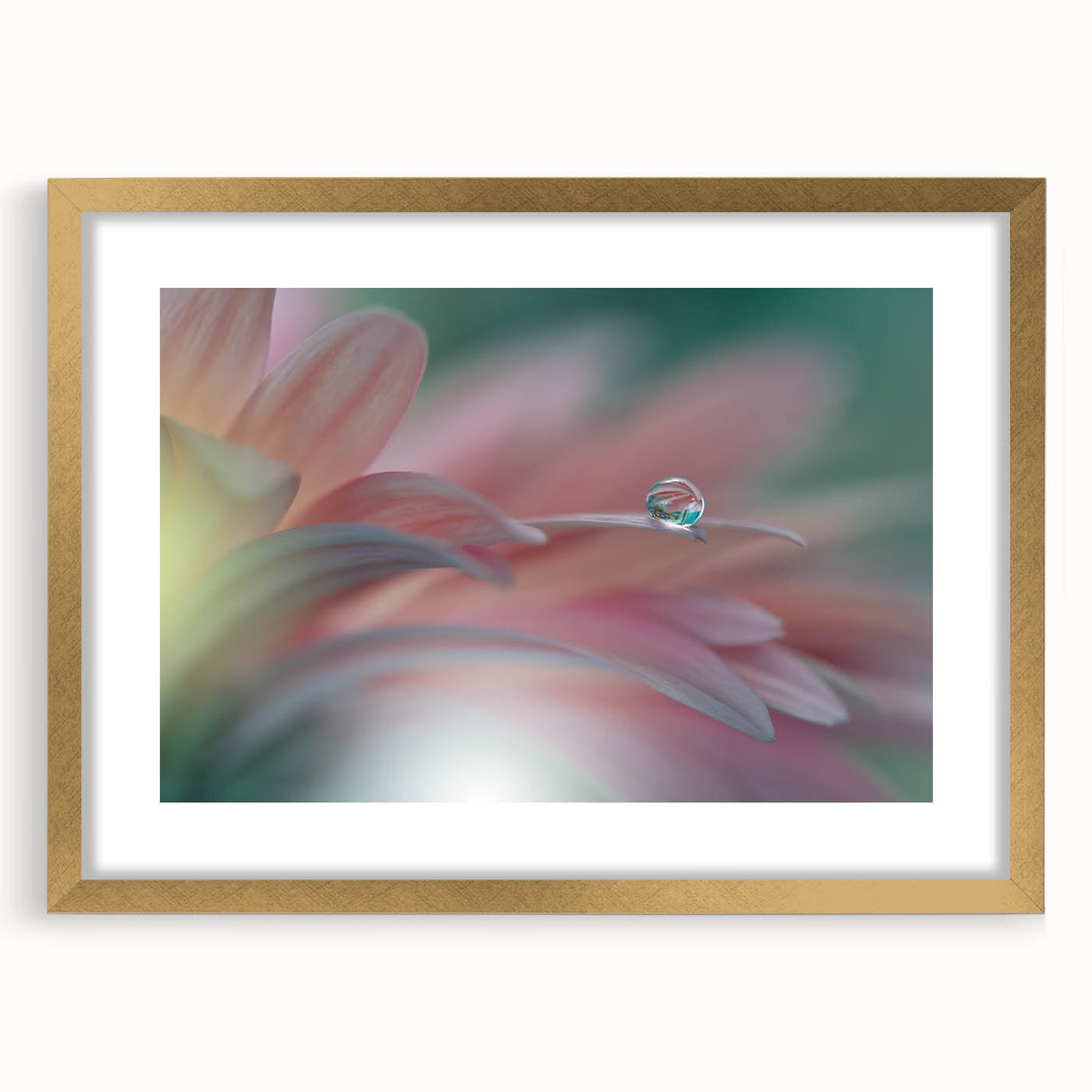 Dreamy Macro Floral - Soft Pastel Fine Art Photography