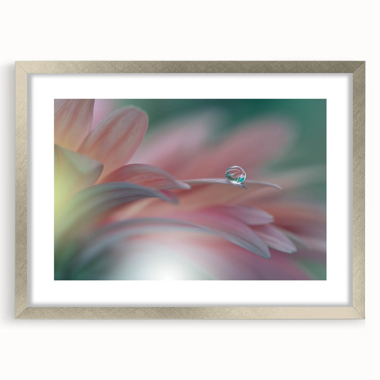 Dreamy Macro Floral - Soft Pastel Fine Art Photography