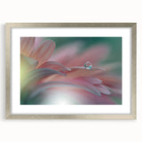 Dreamy Macro Floral - Soft Pastel Fine Art Photography