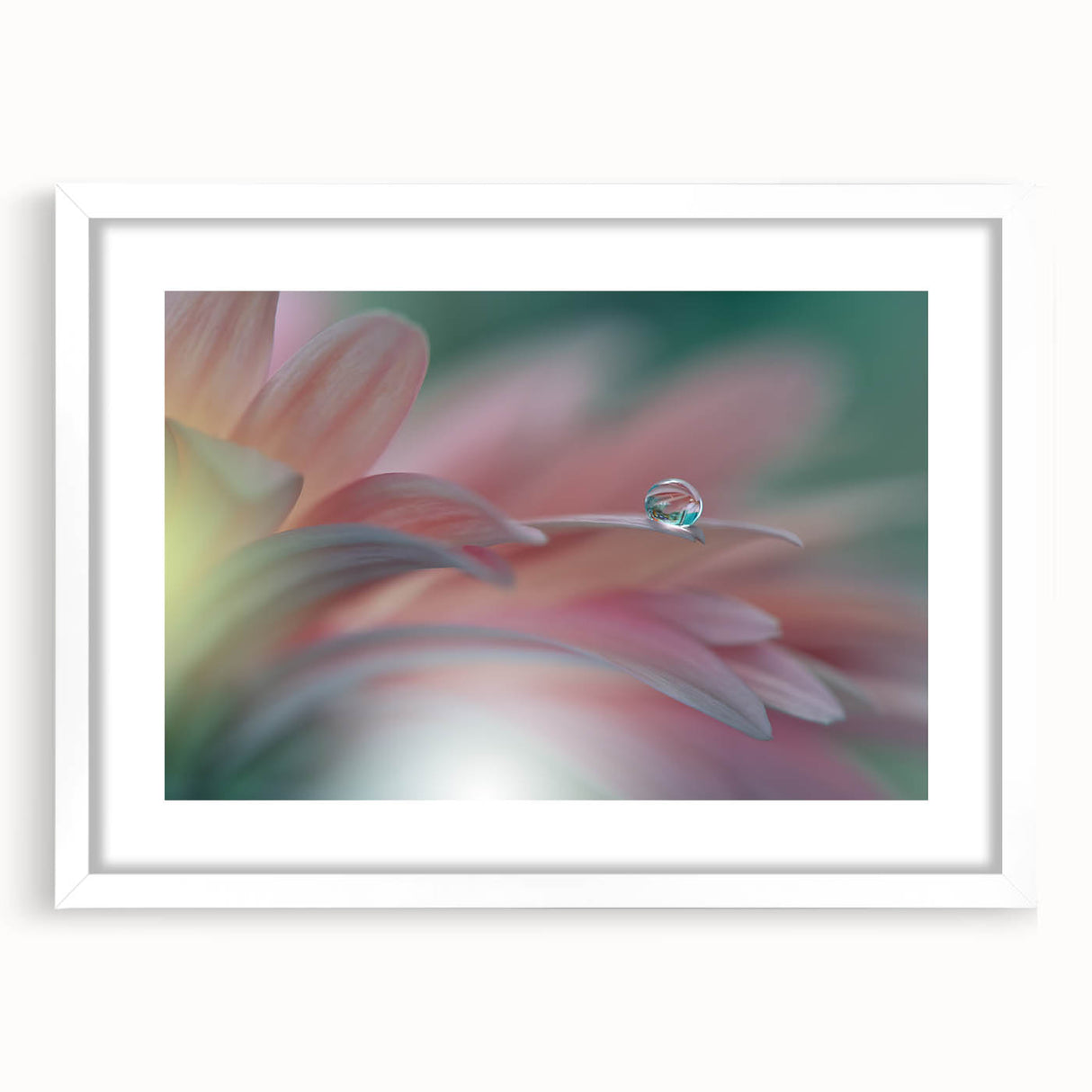Dreamy Macro Floral - Soft Pastel Fine Art Photography