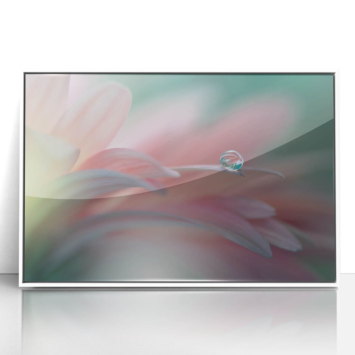 Dreamy Macro Floral - Soft Pastel Fine Art Photography