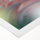 Dreamy Macro Floral - Soft Pastel Fine Art Photography