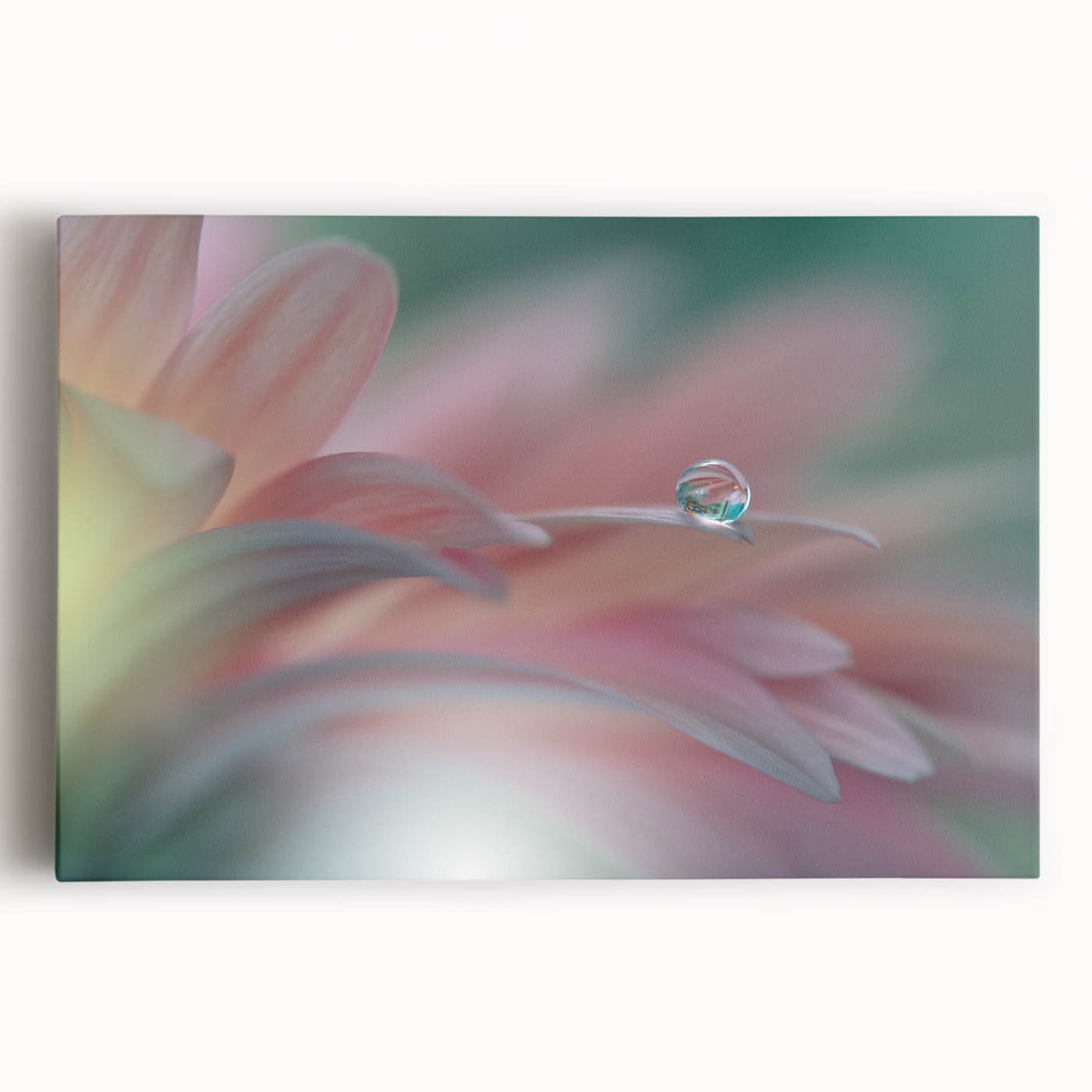 Dreamy Macro Floral - Soft Pastel Fine Art Photography