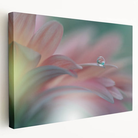 Dreamy Macro Floral - Soft Pastel Fine Art Photography