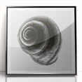 Minimalist Shell Close-Up – Black & White Fine Art Photography Print