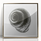 Minimalist Shell Close-Up – Black & White Fine Art Photography Print