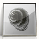 Minimalist Shell Close-Up – Black & White Fine Art Photography Print