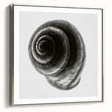 Minimalist Shell Close-Up – Black & White Fine Art Photography Print