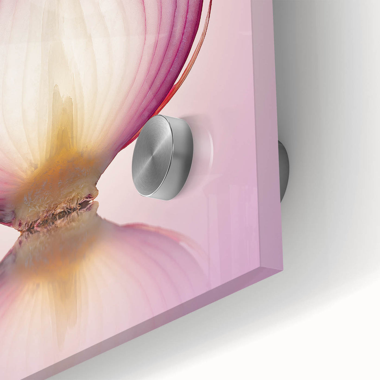 Translucent Red Onion – Fine Art Kitchen Photography Print