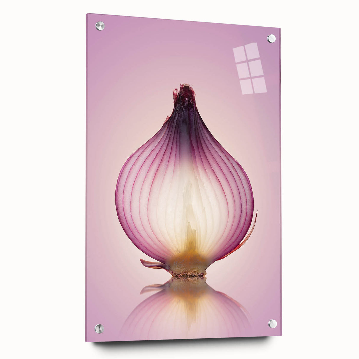 Translucent Red Onion – Fine Art Kitchen Photography Print