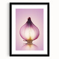Translucent Red Onion – Fine Art Kitchen Photography Print