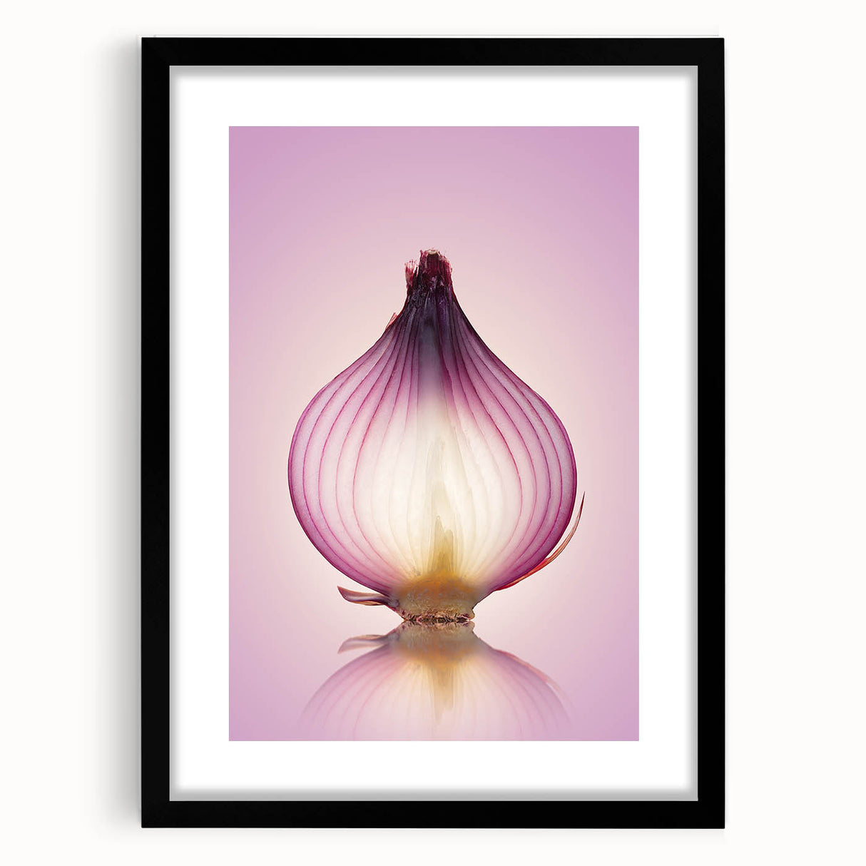 Translucent Red Onion – Fine Art Kitchen Photography Print