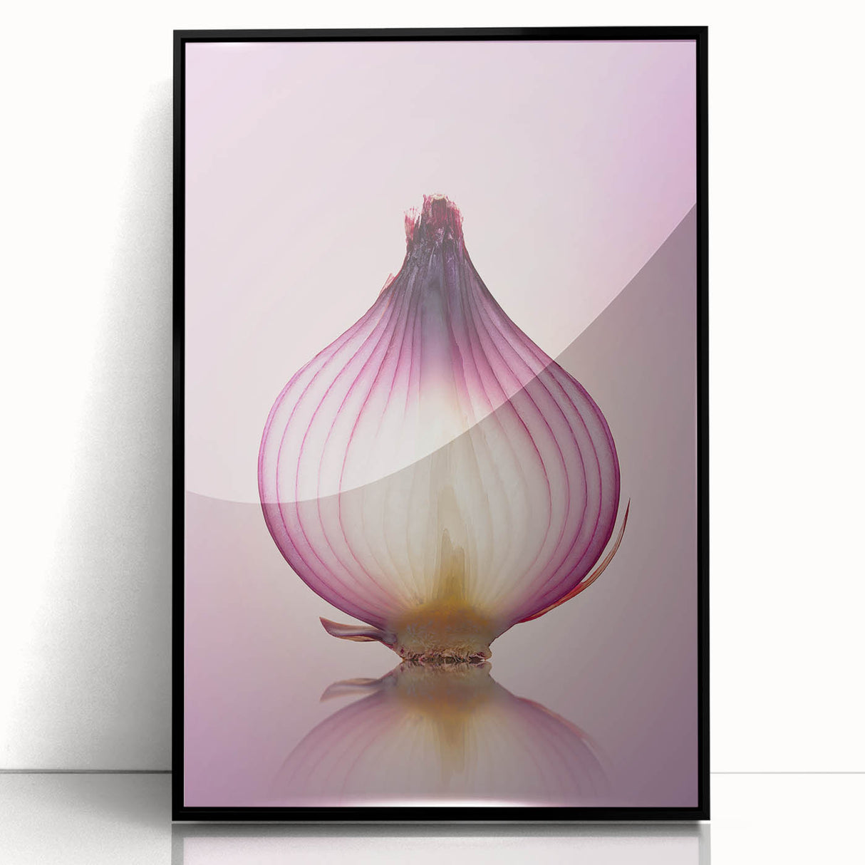 Translucent Red Onion – Fine Art Kitchen Photography Print