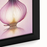 Translucent Red Onion – Fine Art Kitchen Photography Print
