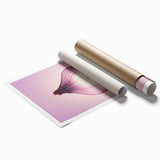 Translucent Red Onion – Fine Art Kitchen Photography Print