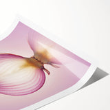 Translucent Red Onion – Fine Art Kitchen Photography Print