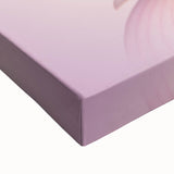 Translucent Red Onion – Fine Art Kitchen Photography Print