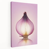 Translucent Red Onion – Fine Art Kitchen Photography Print