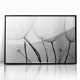 Ethereal Dandelion Seeds – Black & White Fine Art Photography