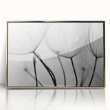 Ethereal Dandelion Seeds – Black & White Fine Art Photography