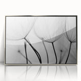 Ethereal Dandelion Seeds – Black & White Fine Art Photography