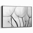 Ethereal Dandelion Seeds – Black & White Fine Art Photography