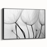 Ethereal Dandelion Seeds – Black & White Fine Art Photography