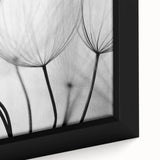 Ethereal Dandelion Seeds – Black & White Fine Art Photography