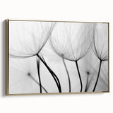 Ethereal Dandelion Seeds – Black & White Fine Art Photography