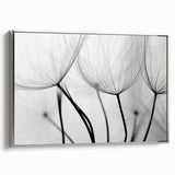 Ethereal Dandelion Seeds – Black & White Fine Art Photography