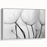 Ethereal Dandelion Seeds – Black & White Fine Art Photography
