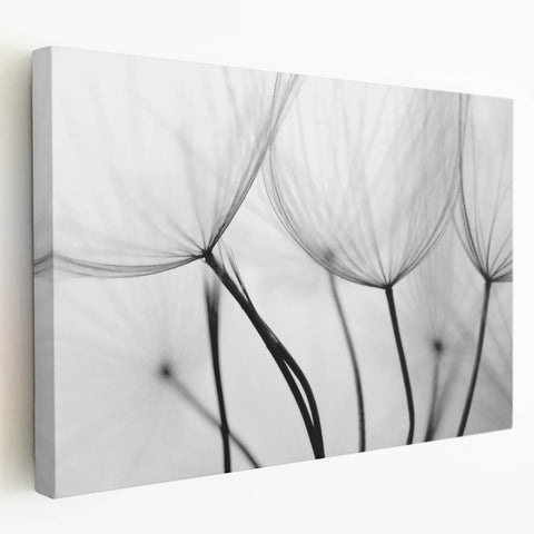 Ethereal Dandelion Seeds – Black & White Fine Art Photography