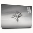 Solitary Tree in Water - Fine Art Photography Acrylic Prints