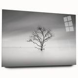 Solitary Tree in Water - Fine Art Photography Acrylic Prints