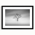 Solitary Tree in Water - Fine Art Photography Acrylic Prints