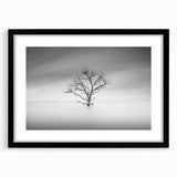 Solitary Tree in Water - Fine Art Photography Acrylic Prints